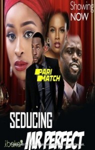 Seducing Mr Perfect (2019) Hindi Dubbed